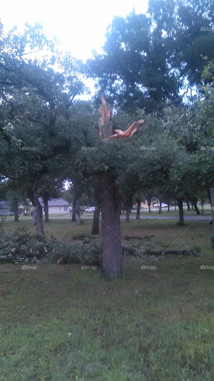 storm damage. the winds got up over 60 miles an hour