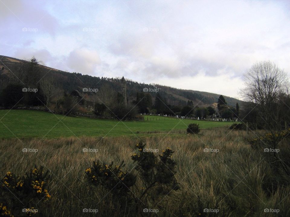 Wicklow