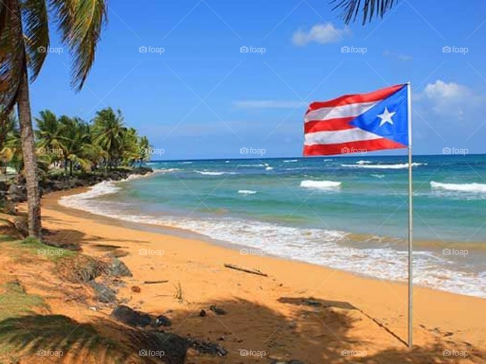 Beautiful  beach  and the puerto  rican  flag.