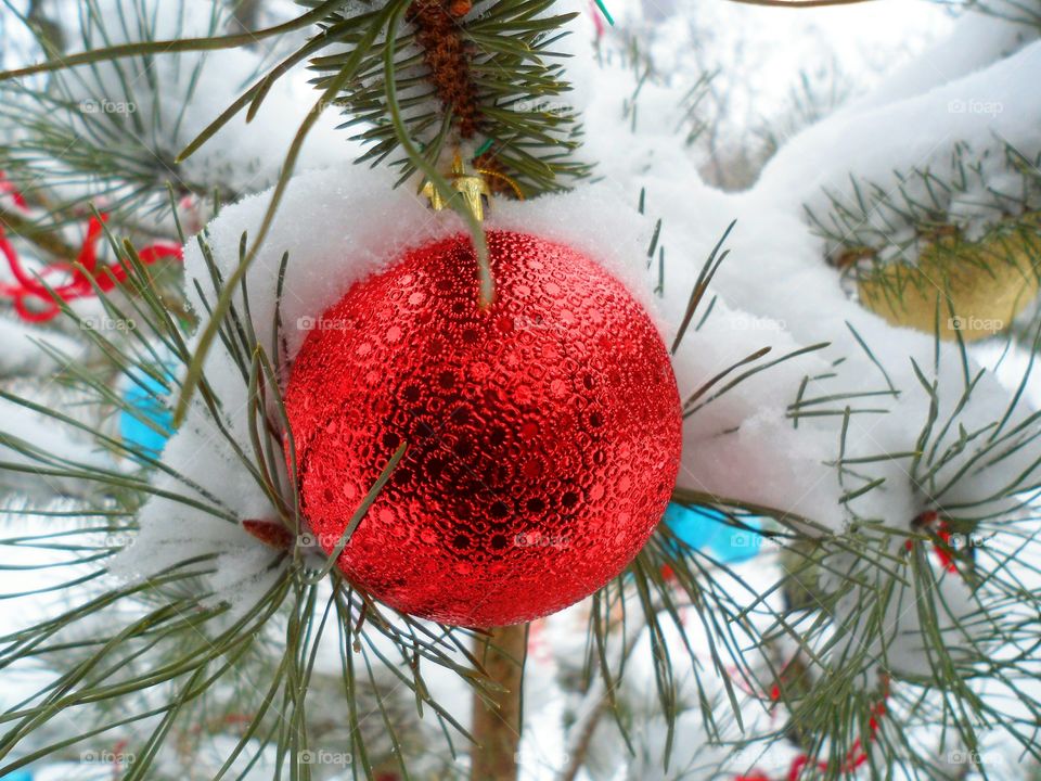 red ball on the snow-covered Christmas tree