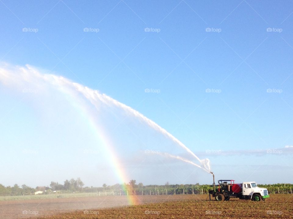Rainbow appears as they are watering the crops 
