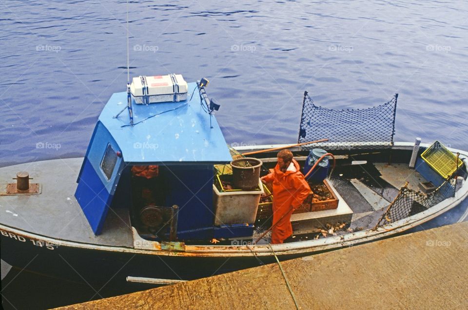 Trawler. Fishing 