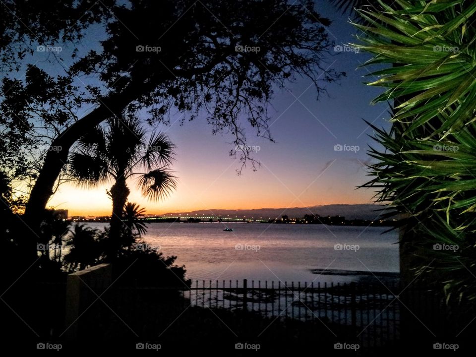 Sunset, Beach, Water, Dawn, Tree