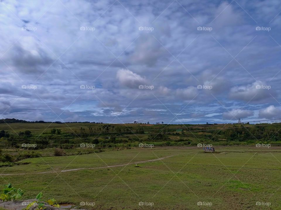 Panorama of Meadows, ravines, thickets, open deciduous or mixed forest with clearly sky at the day on Tele, North
