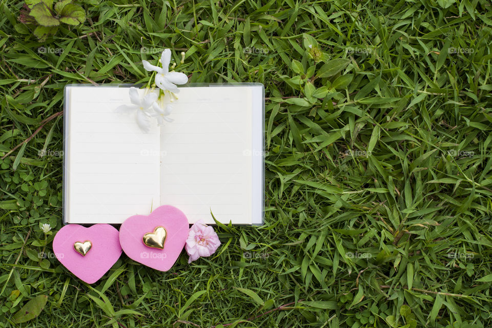 book love on the green grass