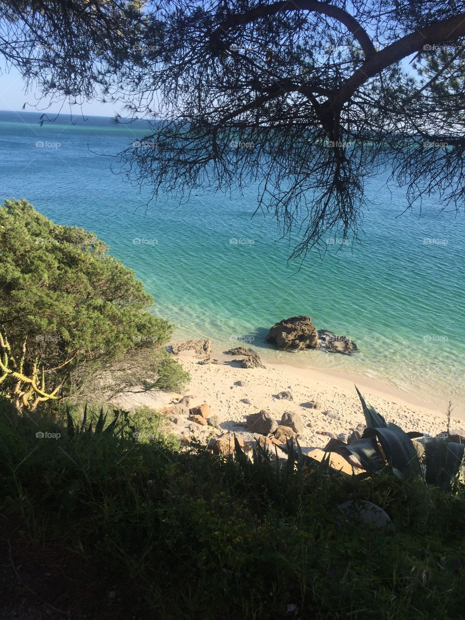 High angle view of sandy beach