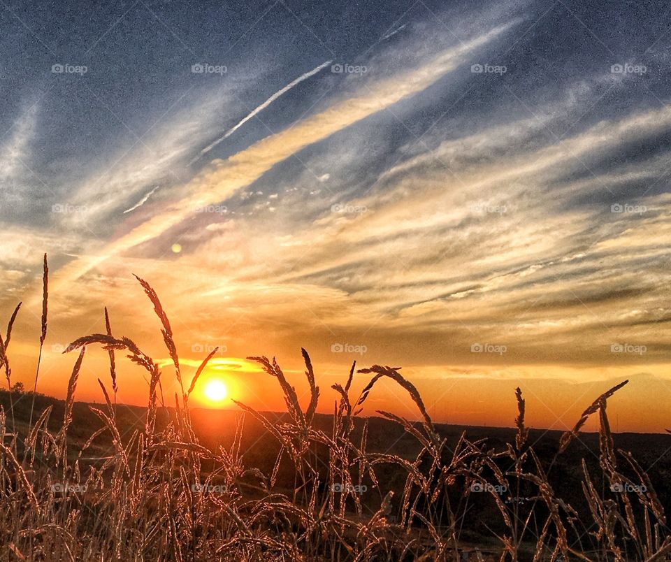 Sunset over the field