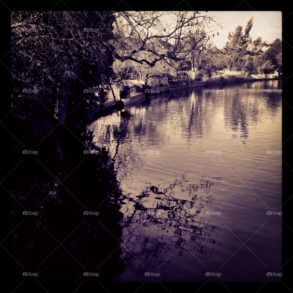 trees pond water lake by jbrinkler