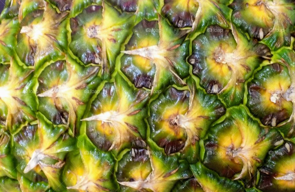 Order within natural design