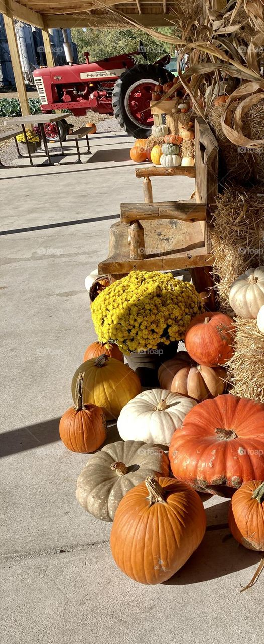 Red tractor at farmers market with pumpkins