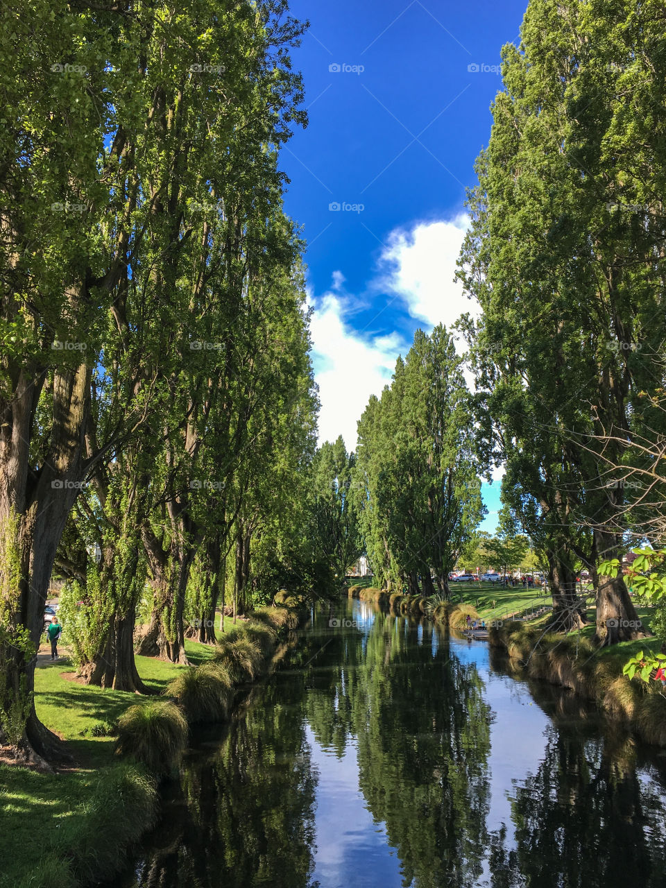 Avon River / Christchurch, New Zealand