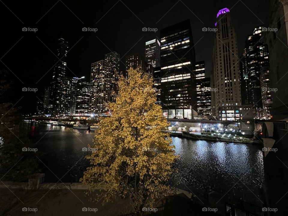 Chicago skyline with illuminated windows