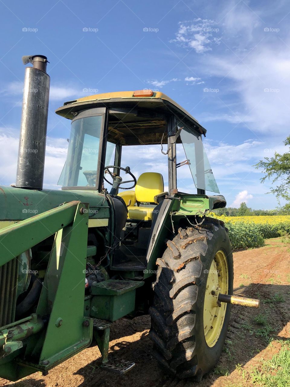 Closeup of green and yellow tractor parked in foreground with sunflower field in background. Rural US sunflower farm.