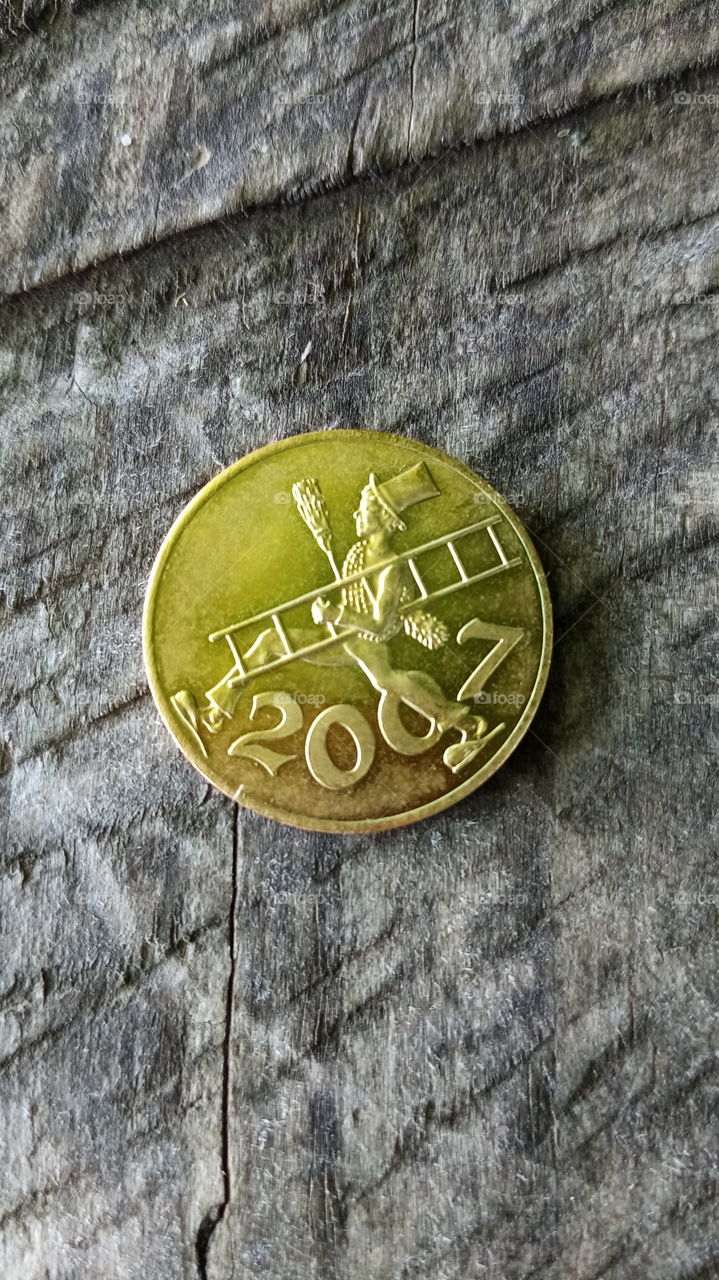 Münze Gluücksbringer