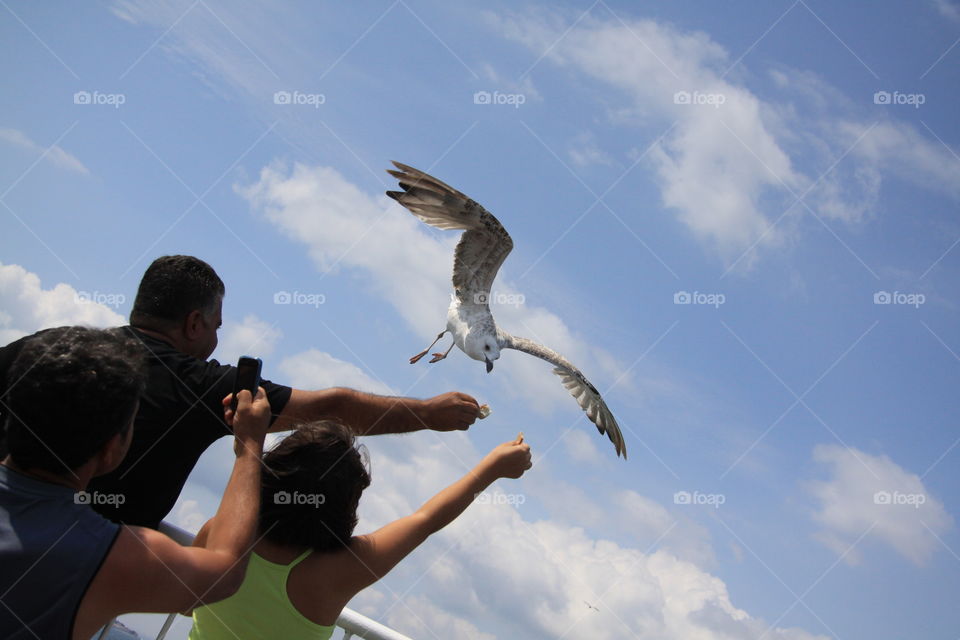 people on a boat feeding seagulls