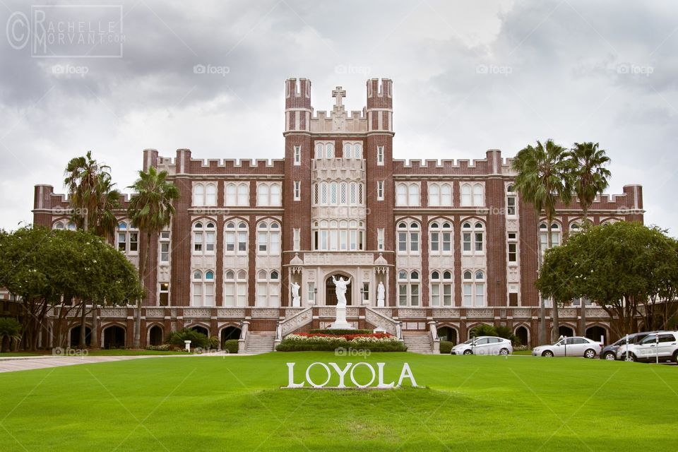 Loyola university 