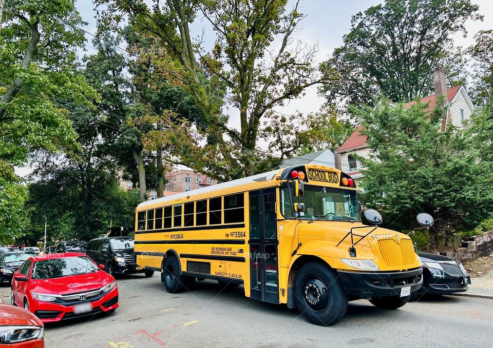 The iconic yellow school bus transports children to and from private and public schools daily. 