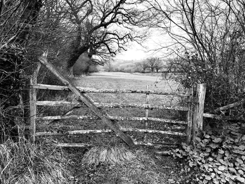 This is a favorite gate entry photograph of mine, which looks lovely in both monochrome or color.