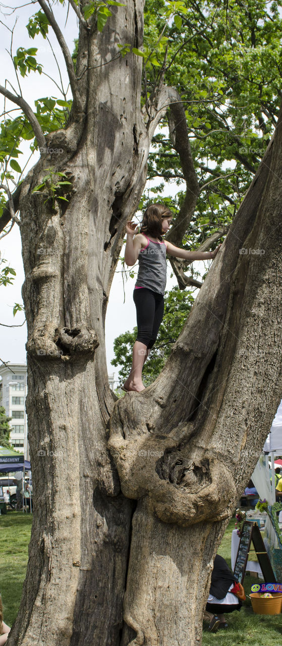 fun day in the park. girl climbing tree