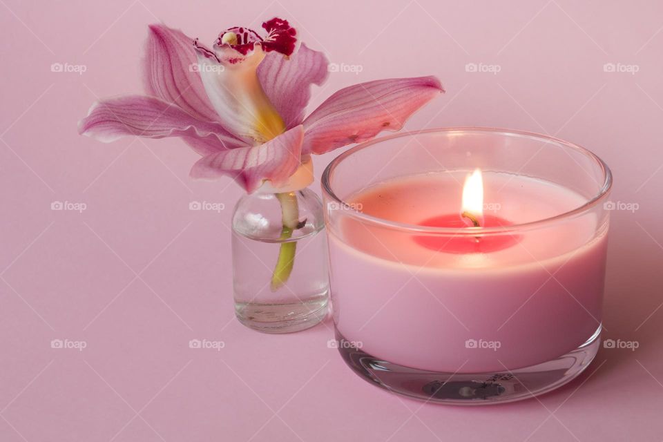 Pink candle and pink orchid flower on pink background 