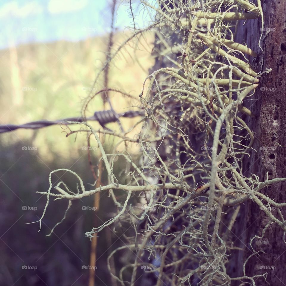 Nature is fighting back