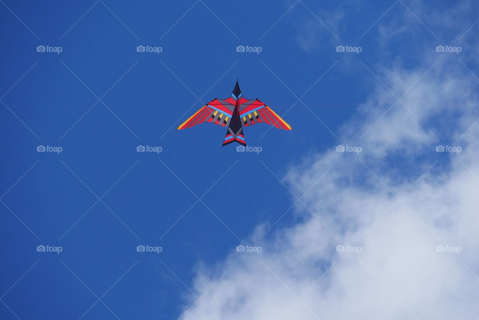 Flying kite in the sky 