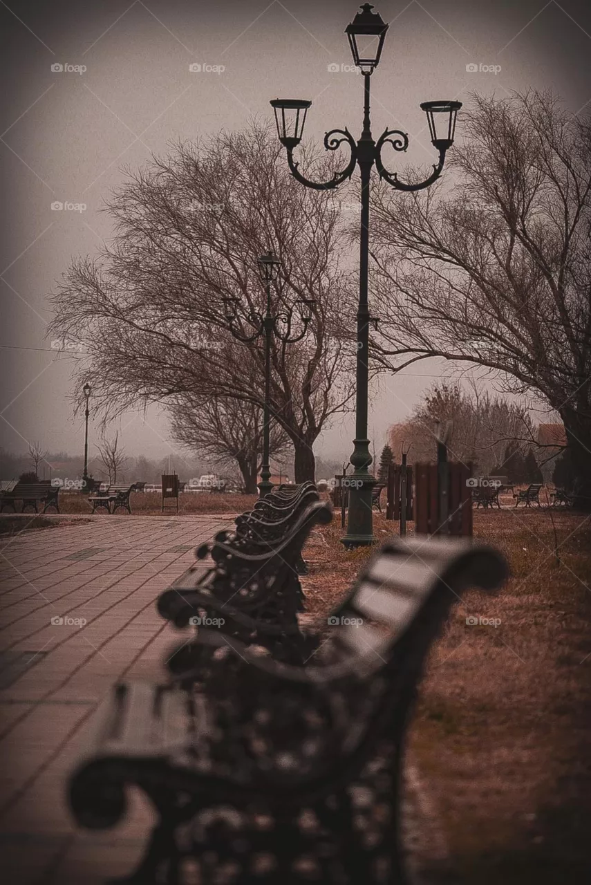 Winter