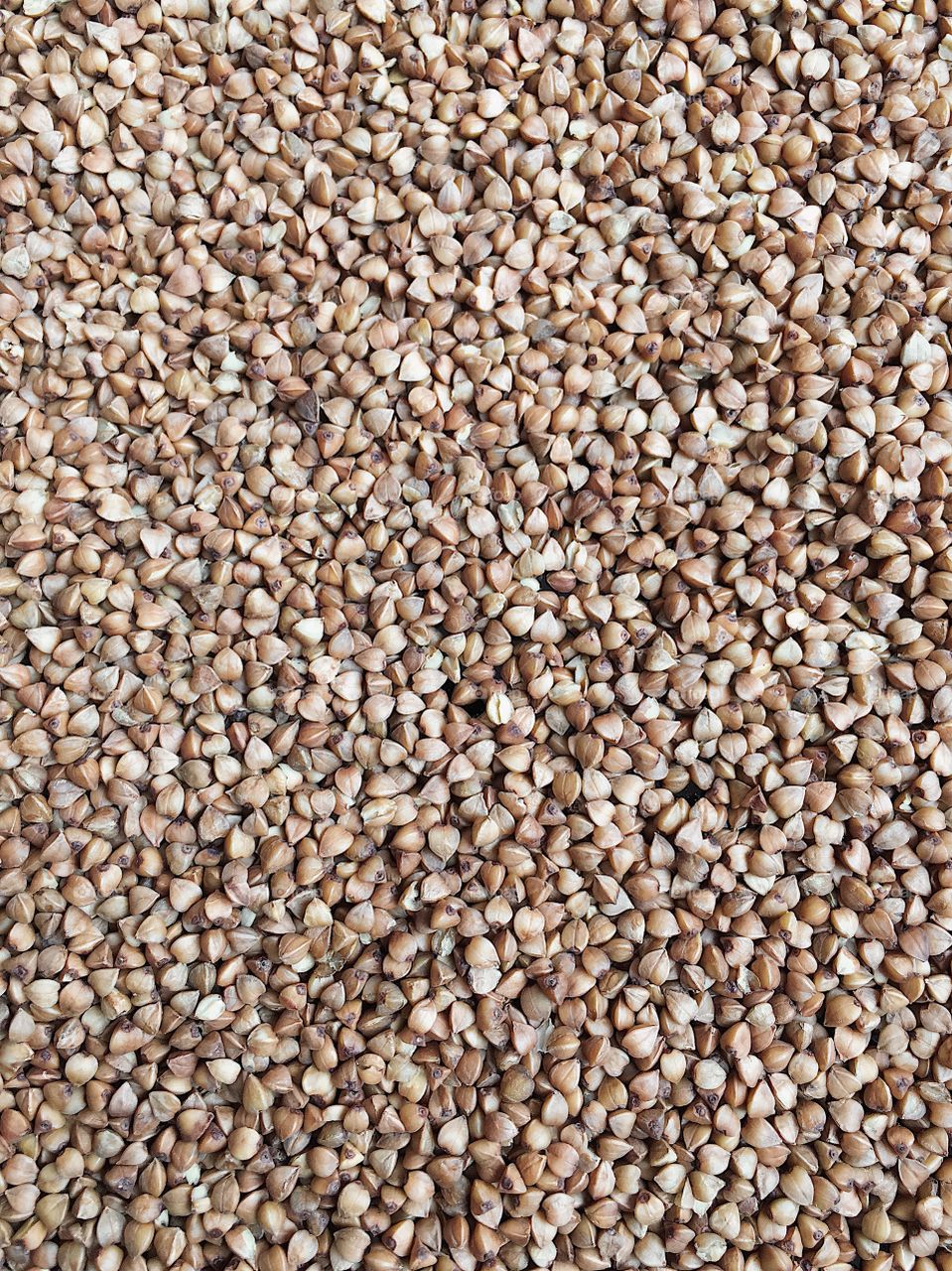 Dry buckwheat 