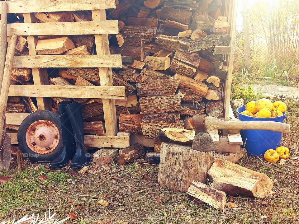 preparing firewood for the winter.