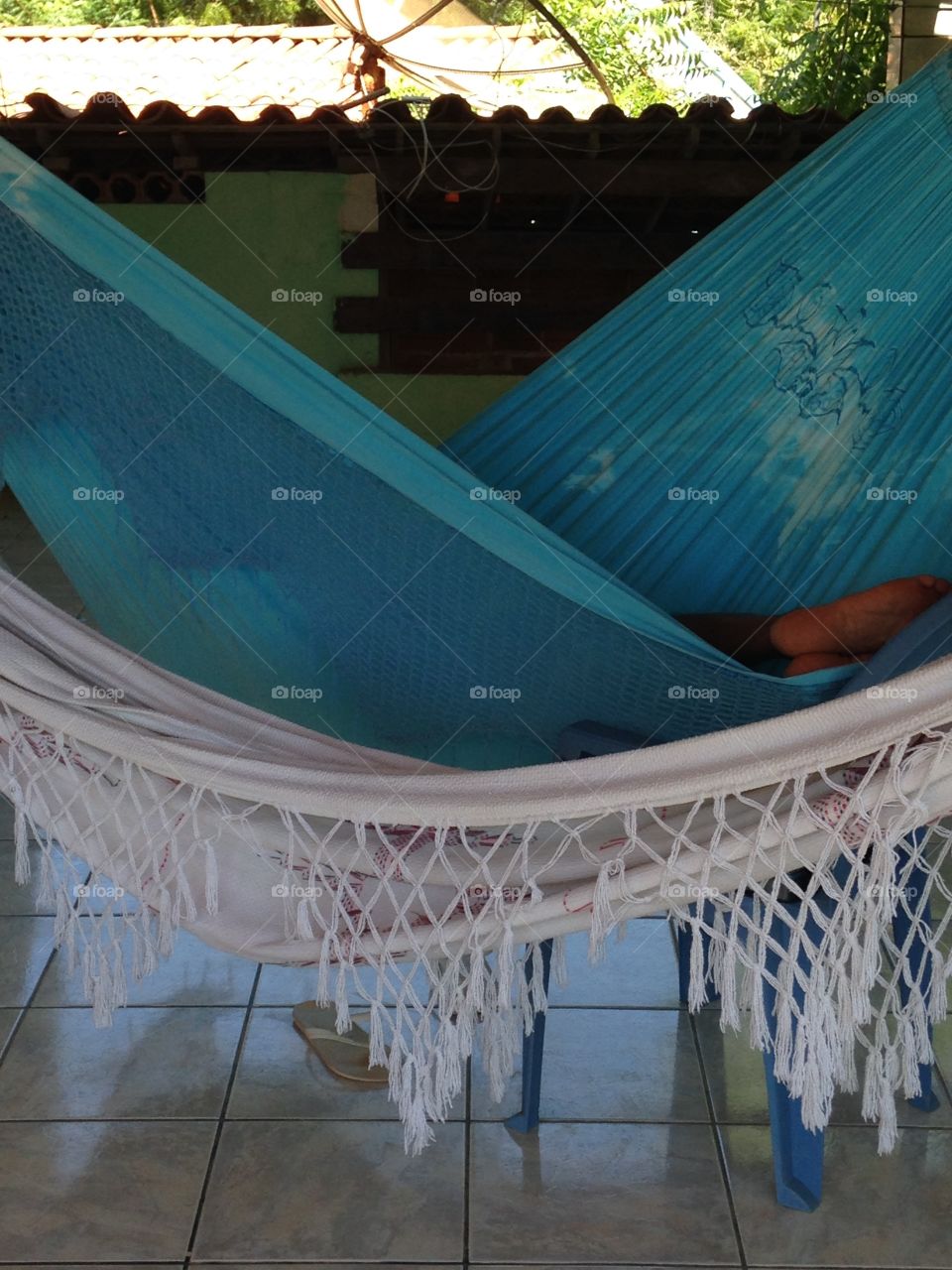 Hammocks 