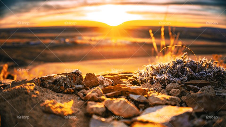 The aura of the fall sun.