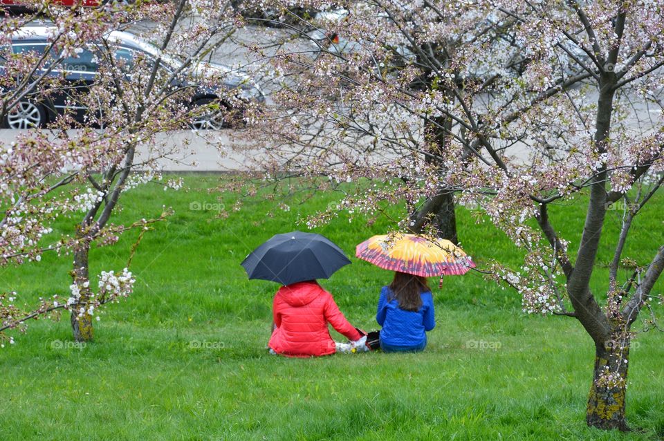 Photo stories in my city