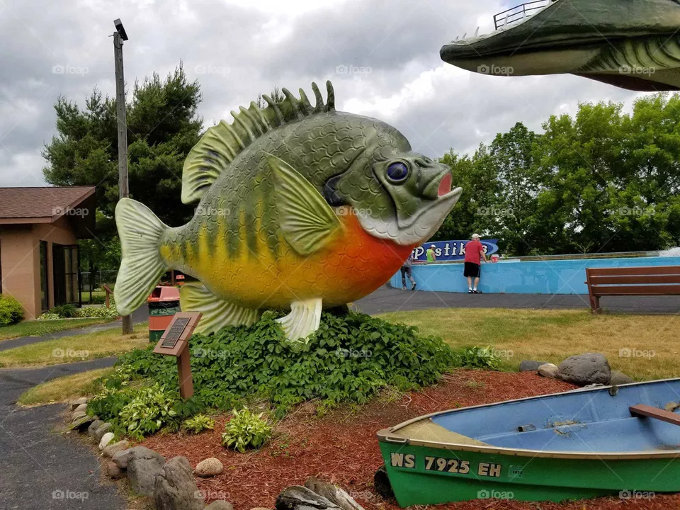 fish