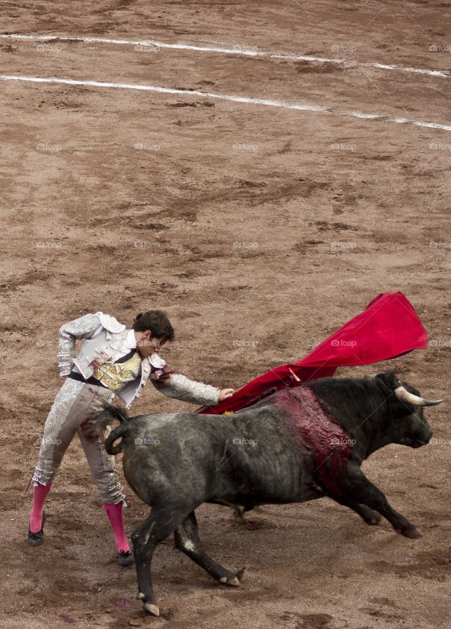 bullfighter