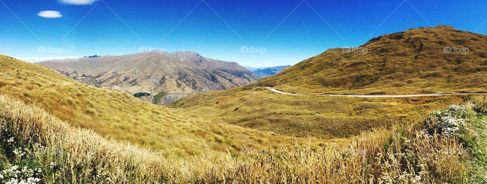 Mountain grasslands! 