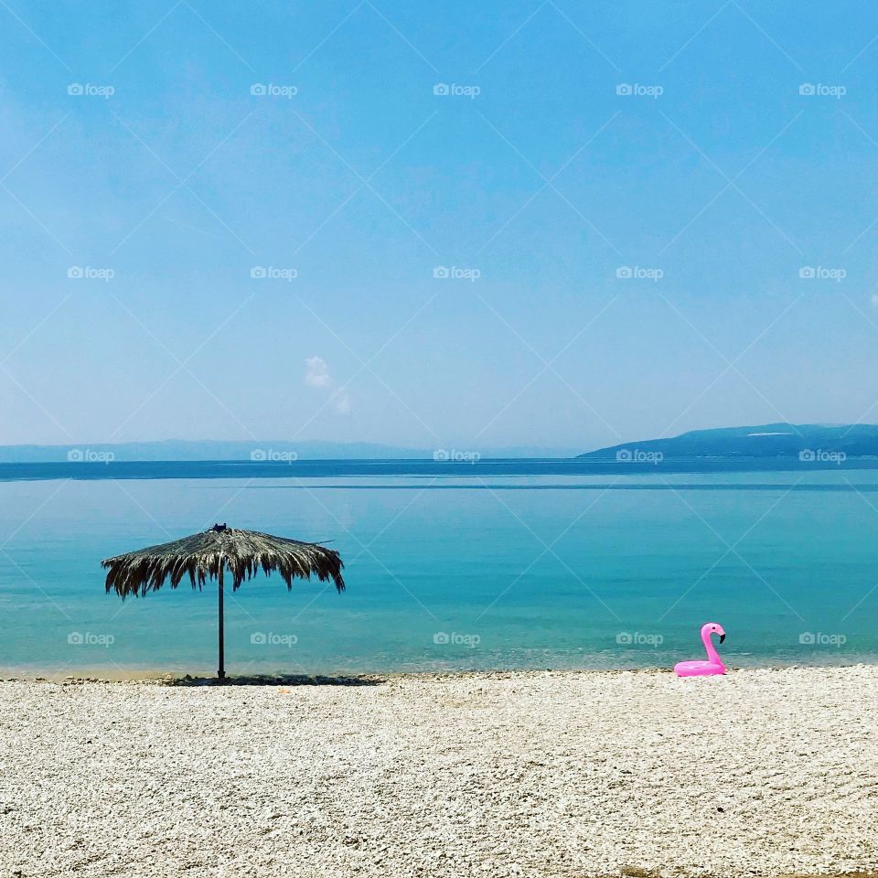 Flamingo beach 