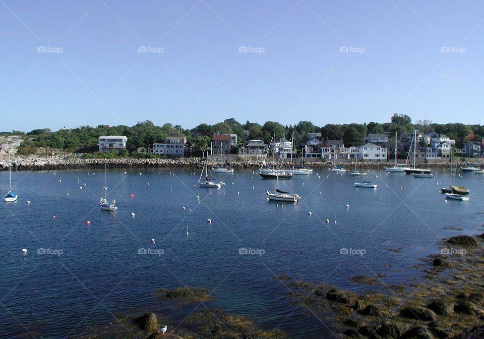 Rockport harbor