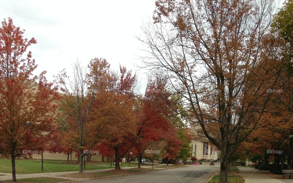 Indiana University Autumn