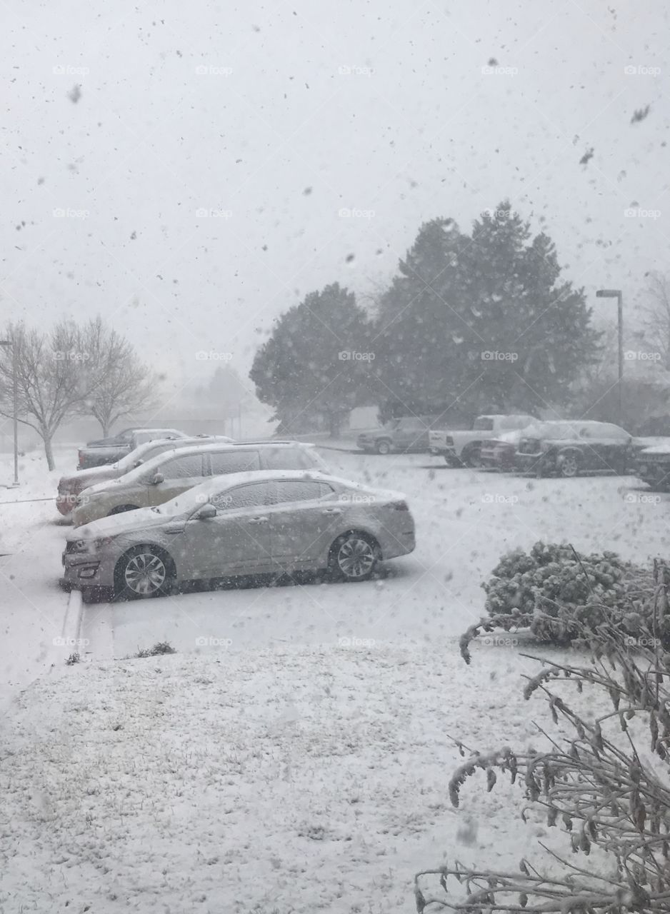 Just another snowy day