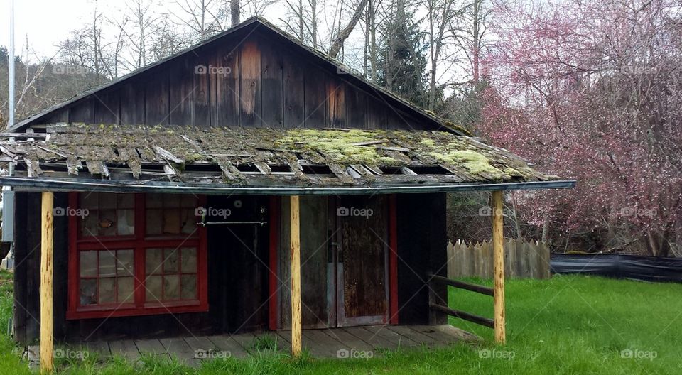 Old and Falling Down