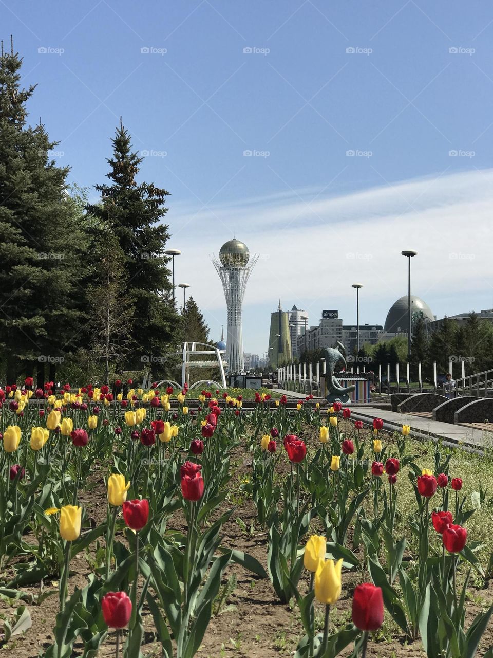 Flowers growing in the city in the summer