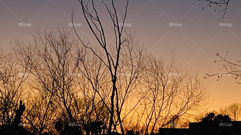 Sundown after 4 days of inclement weather. Beautiful Yellow Horizon. Been a long time since i have seen a Yellow Sundown. Seasons changing time changing soon. Not Good.