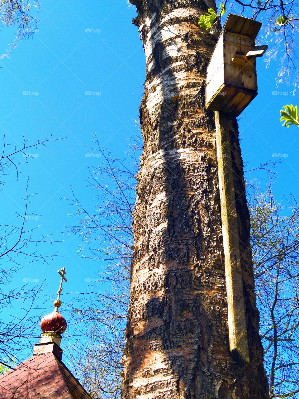 Birdhouse on a tree against the background of the dome of a rural church