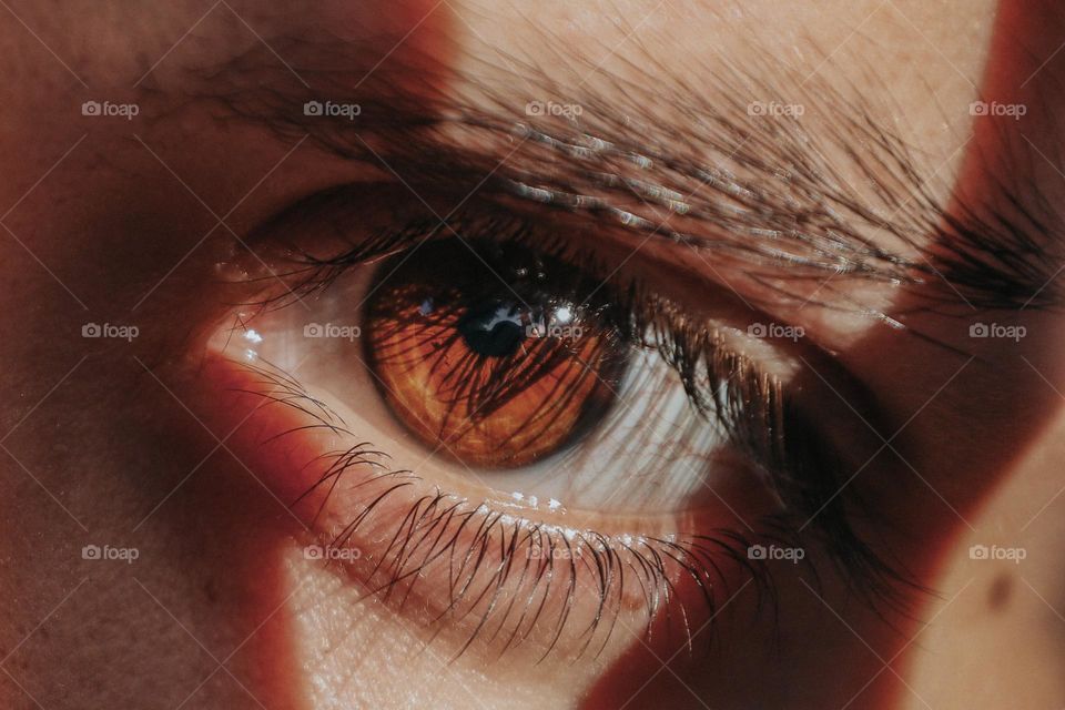 Close up of a human eye 