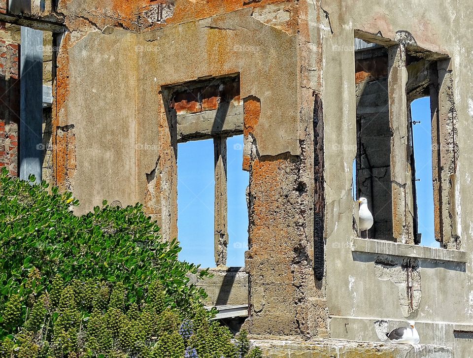 Urban Ruins. Decaying Art Deco Structure In San Francisco
