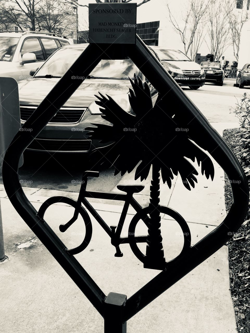 Bike and Palm tree sign