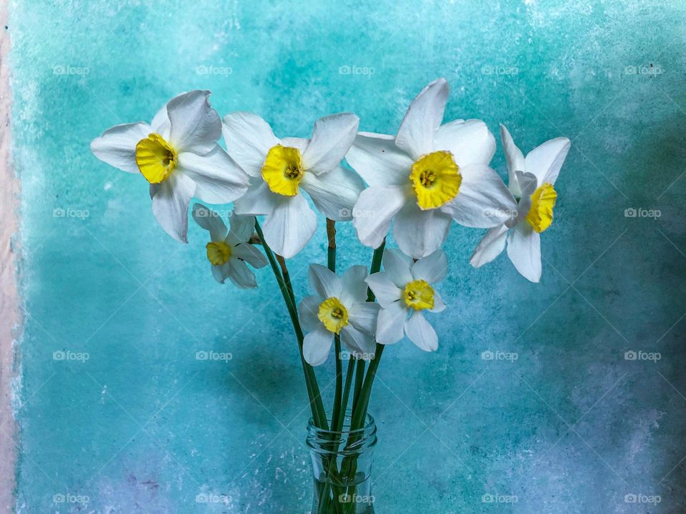 White daffodils from Grandma’s garden