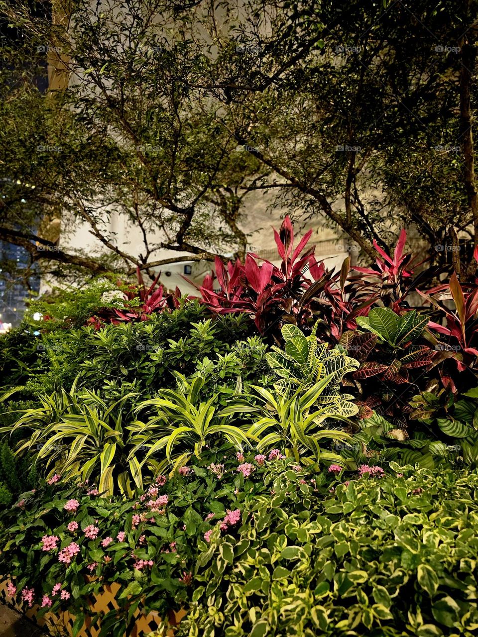 street side urban plants with trees, green leaves and flowers