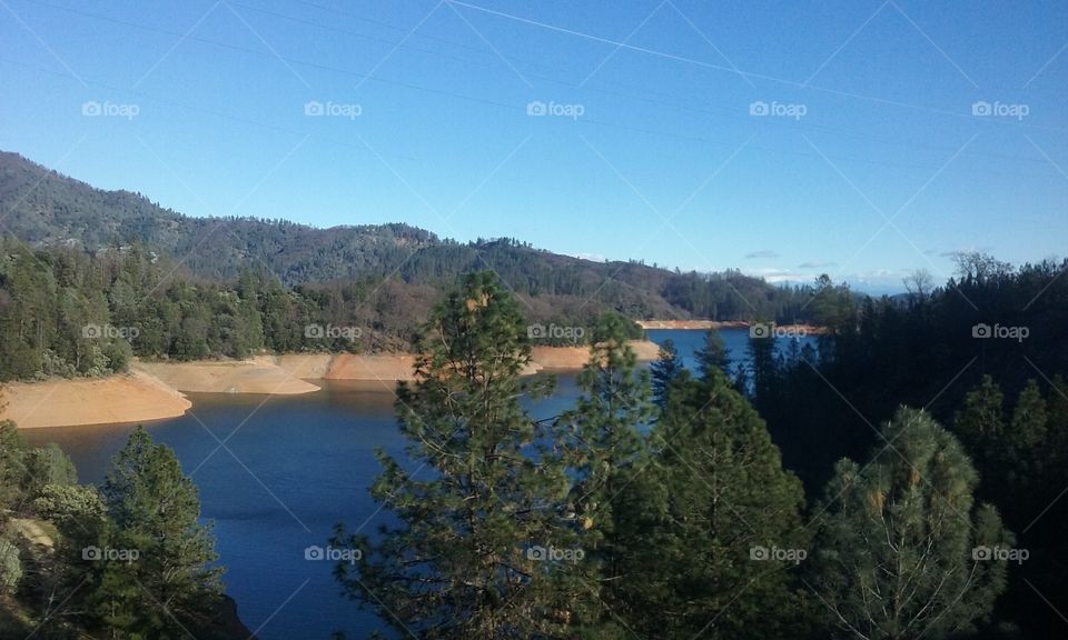 Beautiful Blue water with levels rising to the tree line on a mountain lake.