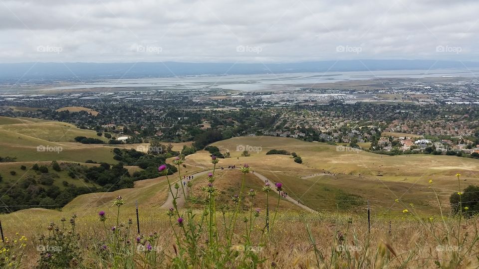 View of Silicon Valley from a hill